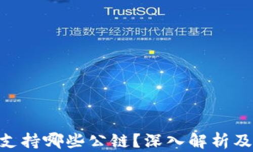 
Tokenim支持哪些公链？深入解析及应用场景