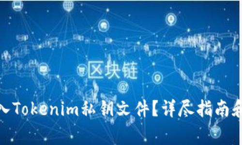 : 如何安全导入Tokenim私钥文件？详尽指南和常见问题解答