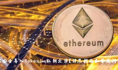 : 如何安全导入Tokenim私钥文件？详尽指南和常见问题解答