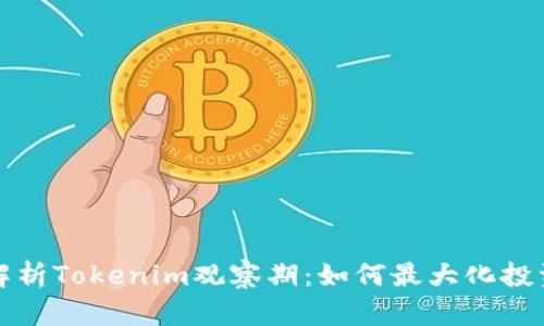 深入解析Tokenim观察期：如何最大化投资收益