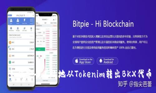  如何安全有效地从Tokenim转出BKX代币