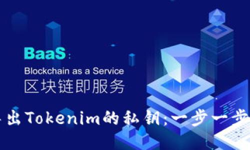 如何安全导出Tokenim的私钥：一步一步的详细指南