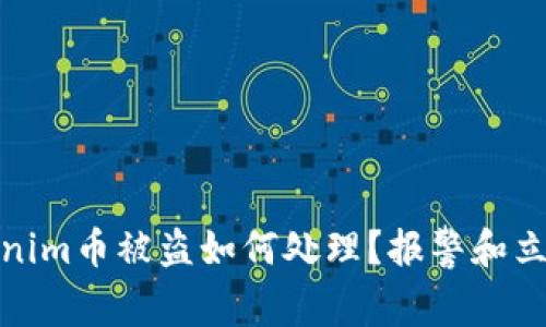: Tokenim币被盗如何处理？报警和立案指南