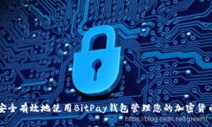 如何安全有效地使用BitPay钱包管理您的加密货币
