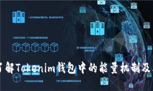 深入了解Tokenim钱包中的能量机制及其应用