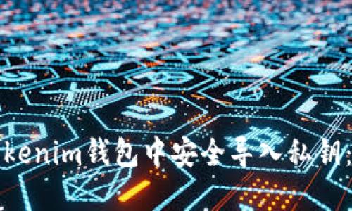 如何在Tokenim钱包中安全导入私钥:详细指南