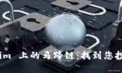 探索 Tokenim 上的马蹄链：找到您投资的新机遇