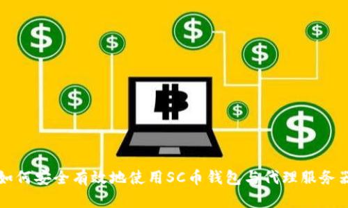 如何安全有效地使用SC币钱包与代理服务器