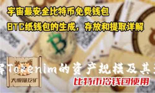 深入了解Tokenim的资产规模及其影响因素