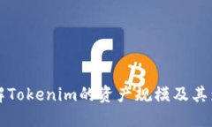 深入了解Tokenim的资产规模及其影响因素