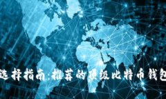 比特币钱包选择指南：推荐的顶级比特币钱包及