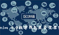 使用Tokenim 2.0数字钱包是否需要实名认证？