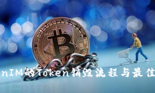 TokenIM的Token销毁流程与最佳实践