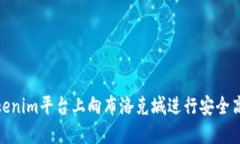 如何在Tokenim平台上向布洛克城进行安全高效的转