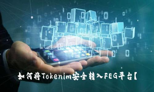 如何将Tokenim安全转入FEG平台?