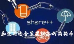 如何选择和使用适合苹果设备的狗狗币手机钱包