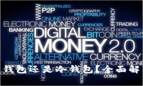 Tokenim是热钱包还是冷钱包?全面解析与使用指南