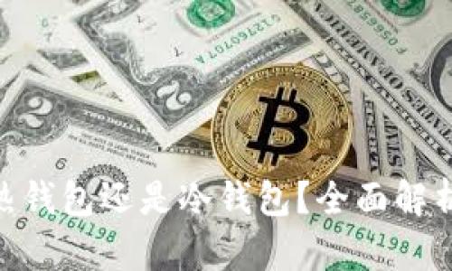 Tokenim是热钱包还是冷钱包?全面解析与使用指南