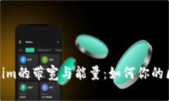 理解Tokenim的带宽与能量：如何你的区块链体验