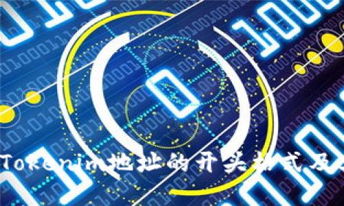 了解Tokenim地址的开头格式及其意义