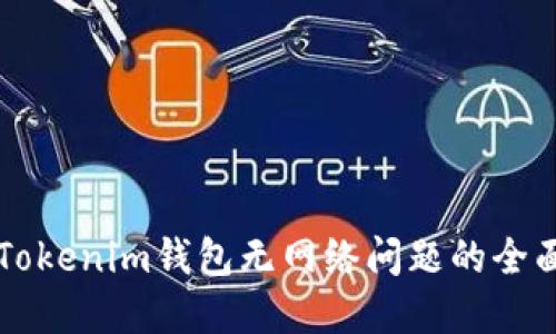 解决Tokenim钱包无网络问题的全面指南