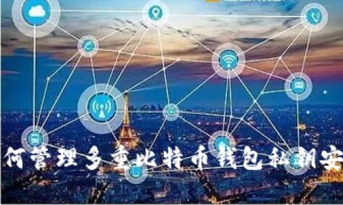 如何管理多重比特币钱包私钥安全