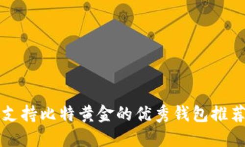 支持比特黄金的优秀钱包推荐