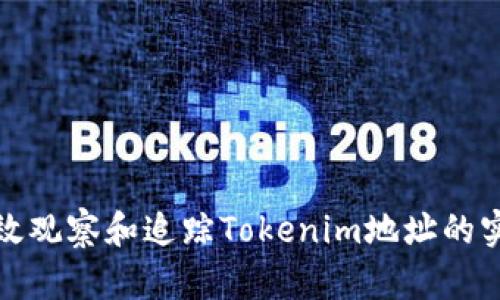 如何有效观察和追踪Tokenim地址的实时动态