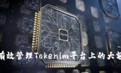 如何有效管理Tokenim平台上的大额转账