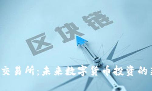VV币交易所:未来数字货币投资的新时代