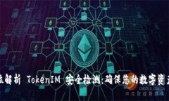 全方位解析 TokenIM 安全检测：确保您的数字资产