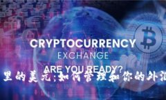  钱包里的美元：如何管理和你的外汇存储