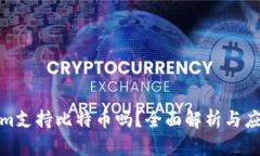 Tokenim支持比特币吗？全面解析与应用示例