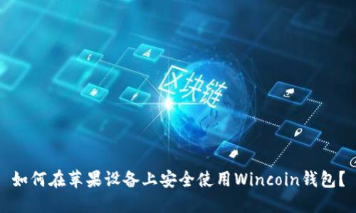 如何在苹果设备上安全使用Wincoin钱包?