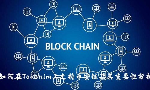 如何在Tokenim上支持币安链及其重要性分析