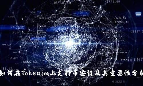 如何在Tokenim上支持币安链及其重要性分析