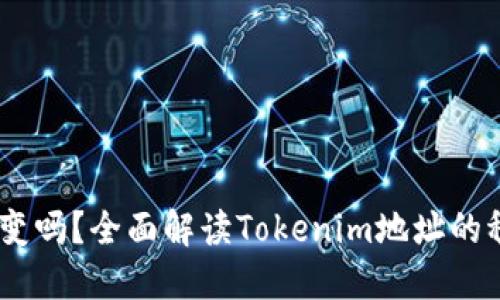 Tokenim地址会变吗?全面解读Tokenim地址的稳定性与变更因素