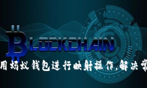 如何使用蚂蚁钱包进行映射操作,解决常见问题