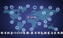 比特币现金（BCH）选择：最佳钱包推荐与使用指