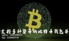 如何选择支持多种货币的比特币钱包并安全使用
