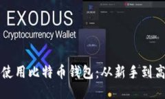 如何安全高效地使用比特币钱包：从新手到高手