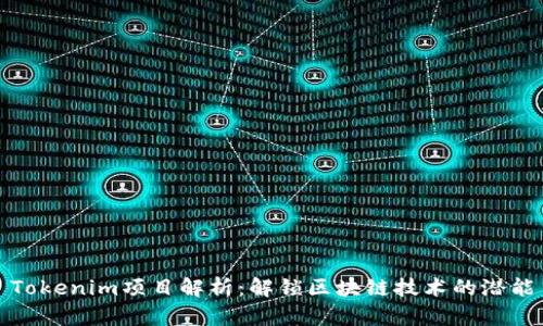Tokenim项目解析:解锁区块链技术的潜能