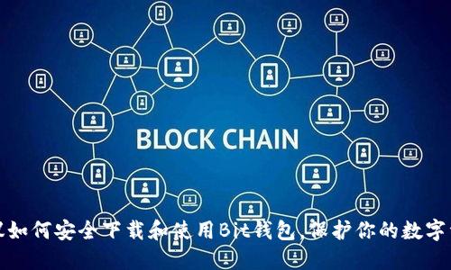建议如何安全下载和使用Bit钱包,保护你的数字资产
