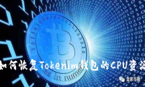 如何恢复Tokenim钱包的CPU资源