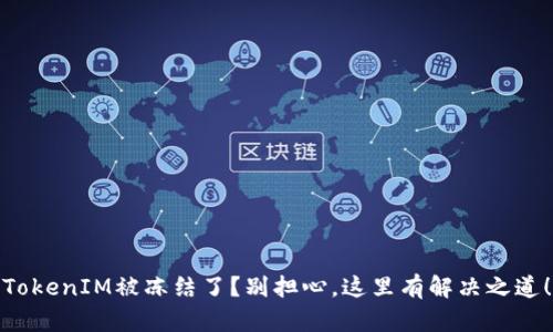 TokenIM被冻结了?别担心,这里有解决之道!
