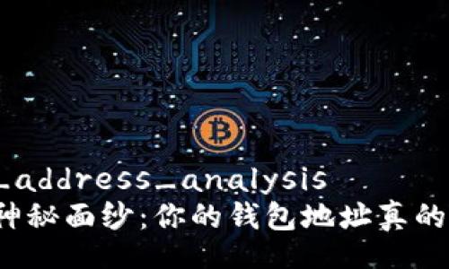 wallet_address_analysis
揭开神秘面纱:你的钱包地址真的安全吗?
