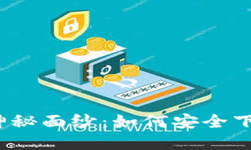 揭开数字货币的神秘面纱：如何安全下载高效钱包应用?