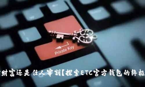 掌控财富还是任人宰割?探索ETC官方钱包的终极选择