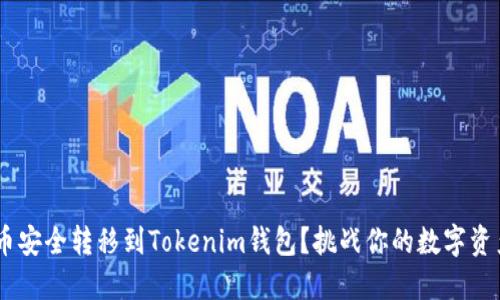 如何将ASS币安全转移到Tokenim钱包?挑战你的数字资产管理能力!