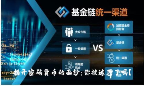 揭开密码货币的面纱:你被迷惑了吗?